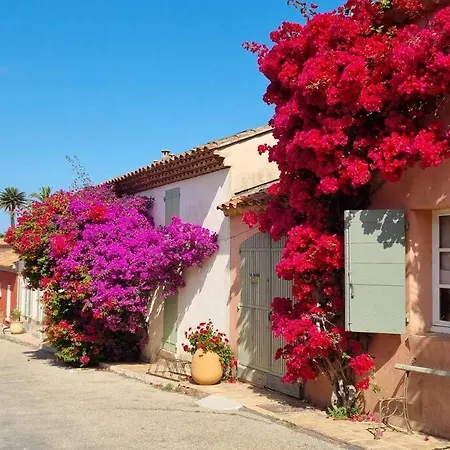 - La Porquerollaise Hébergement de vacances *