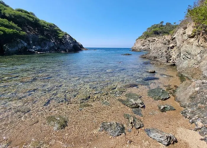 - La Porquerollaise *