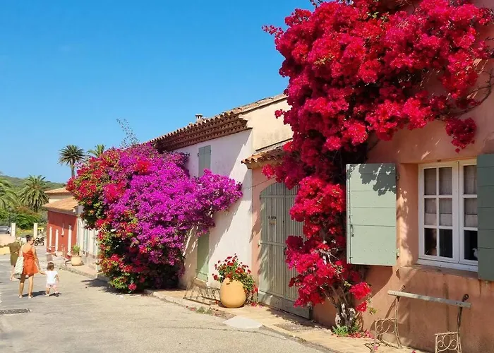 - La Porquerollaise Hébergement de vacances *