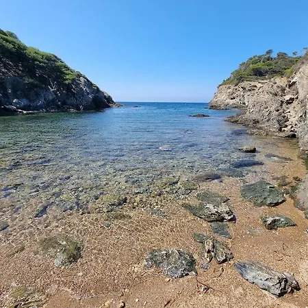 - La Porquerollaise *